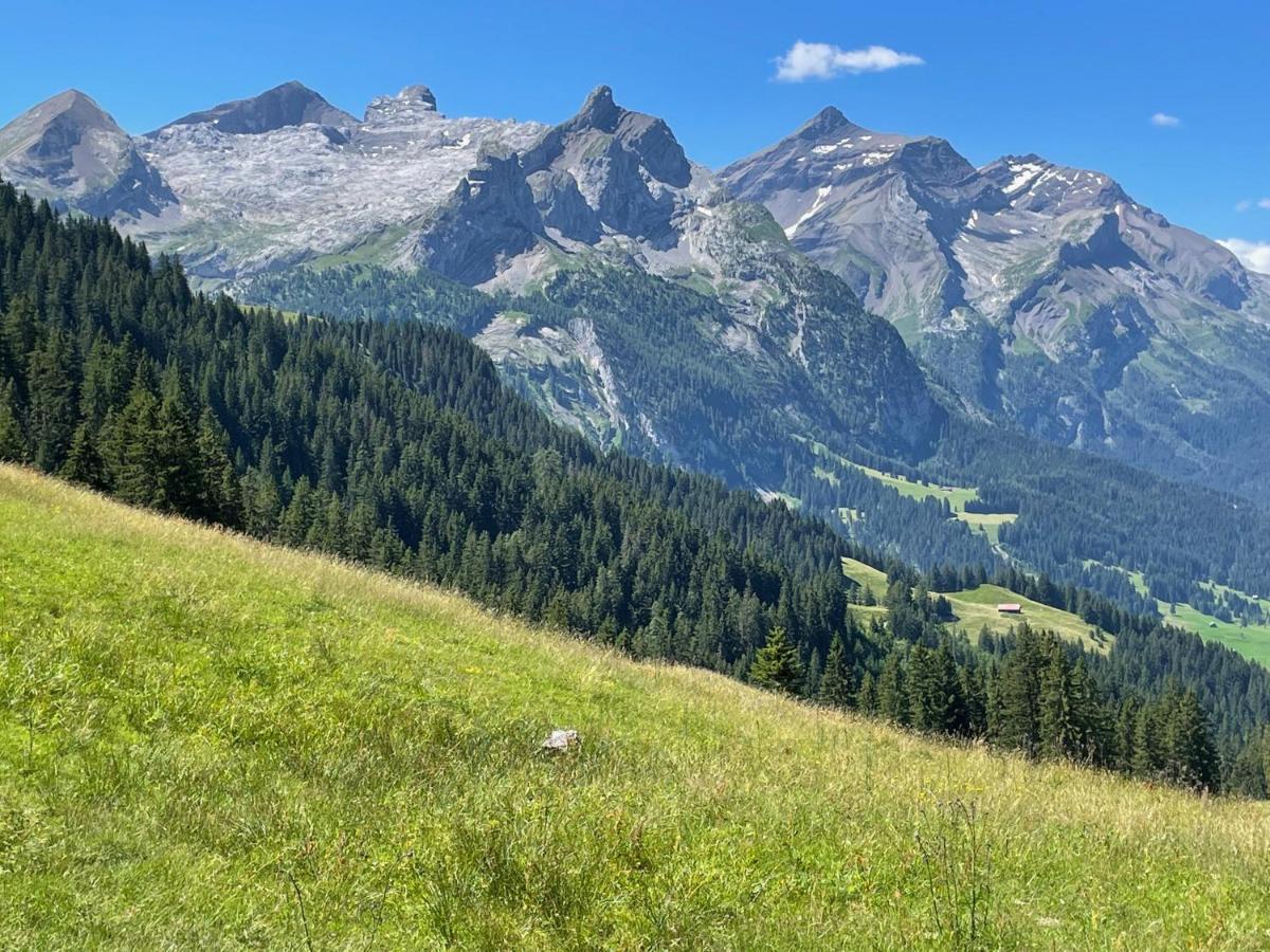 Alpen Charme - Chalet D'Hotes Et Spa Gsteig Eksteriør billede
